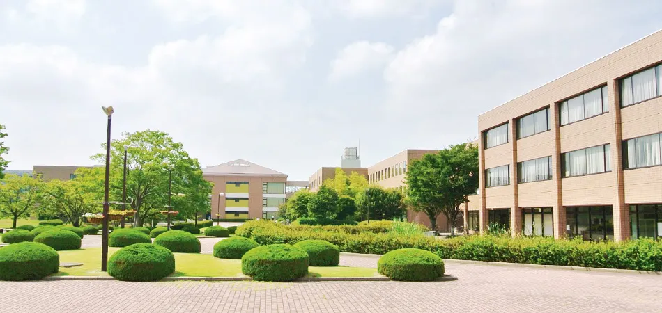 大学教室のイメージ